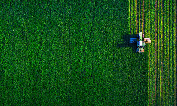 Soil Tech Research Project